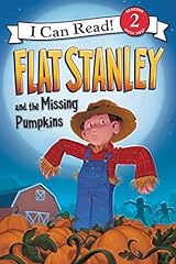 Flat stanley missing for sale  Delivered anywhere in USA 