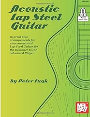 Acoustic lap steel gebraucht kaufen  Wird an jeden Ort in Deutschland