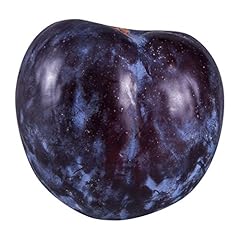 Black plum for sale  Delivered anywhere in USA 