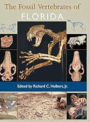 Fossil vertebrates florida for sale  Delivered anywhere in USA 