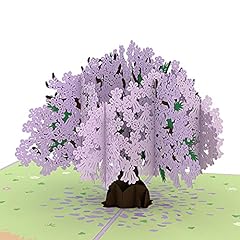 Lovepop jacaranda tree for sale  Delivered anywhere in USA 