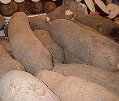 African tuber yam for sale  Delivered anywhere in USA 