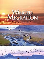 Winged migration for sale  Delivered anywhere in UK