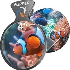 flipper fish tales d'occasion  Livré partout en France