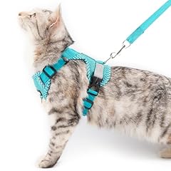 Pangdi cat harness for sale  Delivered anywhere in USA 