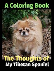 Thoughts tibetan spaniel for sale  Delivered anywhere in USA 