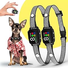 Pack bark collar for sale  Delivered anywhere in USA 