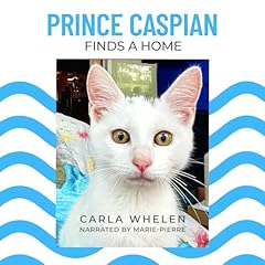 Prince caspian finds gebraucht kaufen  Wird an jeden Ort in Deutschland