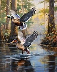 Mallard ducks flying for sale  Delivered anywhere in USA 