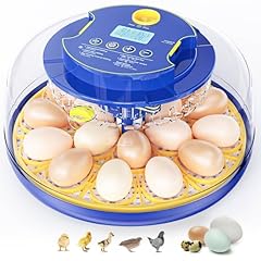Chicken egg incubators for sale  Delivered anywhere in USA 