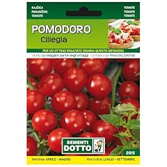 Sicignano semi pomodoro usato  Spedito ovunque in Italia 