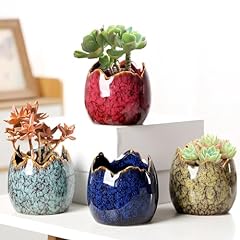 Kiss succulent pots for sale  Delivered anywhere in UK