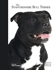 Staffordshire bull terrier for sale  Delivered anywhere in UK