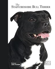 Staff bull terrier d'occasion  Livré partout en France