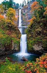 Autumn colors multnomah for sale  Delivered anywhere in USA 