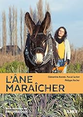 âne maraîcher d'occasion  Livré partout en France