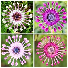150 rare perennial for sale  Delivered anywhere in USA 