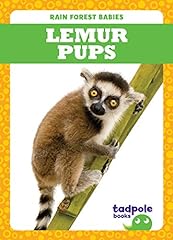 Lemur pups for sale  Delivered anywhere in USA 