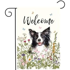 Floral border collie for sale  Delivered anywhere in USA 