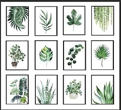 Botanical wall art for sale  Delivered anywhere in UK