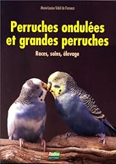 Perruches ondulées grandes d'occasion  Livré partout en Belgiqu