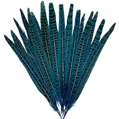 20pcs turquoise pheasant for sale  Delivered anywhere in USA 