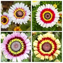 1000 perennial painted for sale  Delivered anywhere in USA 
