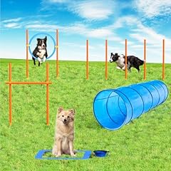 Xben agility set gebraucht kaufen  Wird an jeden Ort in Deutschland