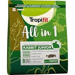 All rabbit junior usato  Spedito ovunque in Italia 