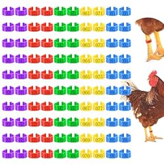 100pcs chicken leg for sale  Delivered anywhere in USA 