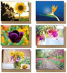 Lot cartes vœux d'occasion  Livré partout en France