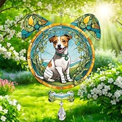Jack russell terrier for sale  Delivered anywhere in UK