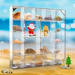 Seashell display box for sale  Delivered anywhere in USA 