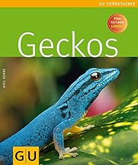 Geckos d'occasion  Livré partout en Belgiqu