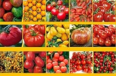 Tomatensamen set sorten gebraucht kaufen  Wird an jeden Ort in Deutschland