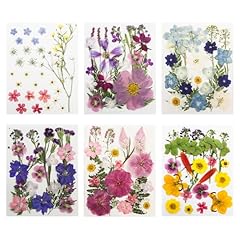 183 pcs dried for sale  Delivered anywhere in USA 