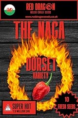 Naga chilli seeds for sale  Delivered anywhere in UK