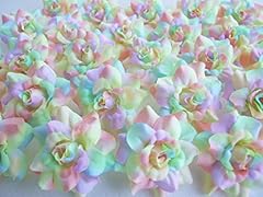 Icrafy silk rainbow for sale  Delivered anywhere in USA 