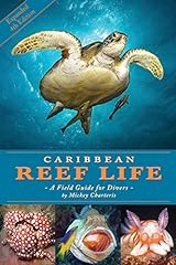 Caribbean reef life for sale  Delivered anywhere in USA 