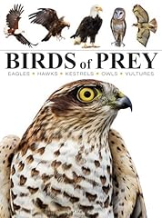 Birds prey for sale  Delivered anywhere in UK