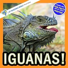 Iguanas incredible picture d'occasion  Livré partout en France