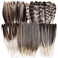 Feelfunfeather pheasant feathe for sale  Delivered anywhere in USA 
