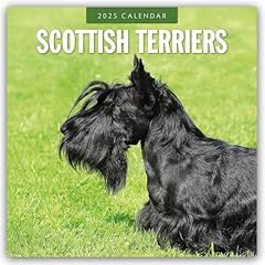 Scottish terrier scotchterrier gebraucht kaufen  Wird an jeden Ort in Deutschland