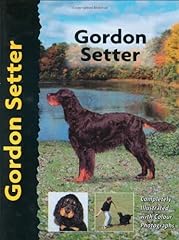 Gordon setter for sale  Delivered anywhere in UK