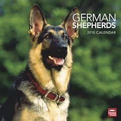 German shepherds 2010 usato  Spedito ovunque in Italia 