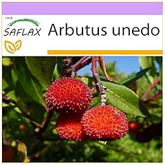 Saflax strawberry tree for sale  Delivered anywhere in UK