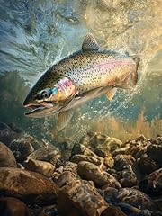 Bimkole fish paint for sale  Delivered anywhere in USA 