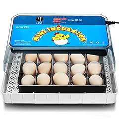 Buileni egg incubator for sale  Delivered anywhere in USA 