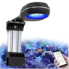 Popbloom rl60 wifi d'occasion  Livré partout en France