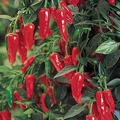 Viridis hortus hot for sale  Delivered anywhere in UK